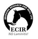 ECIR Group Inc. ECIR Group Inc.
